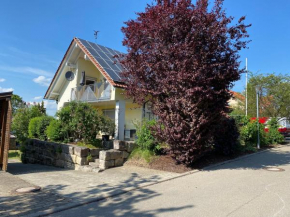 Ferienwohnung Meßmer mit Balkon